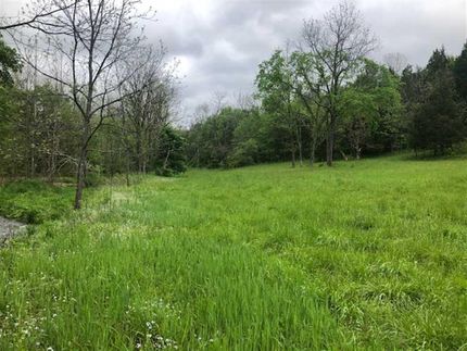 Timberland Property in Switzerland County, Indiana
