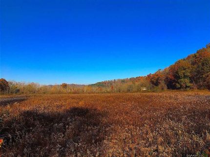 Timberland Property in Guernsey County, Ohio
