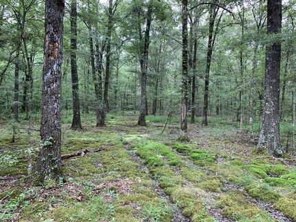 Recreational Property in Monroe County, Arkansas