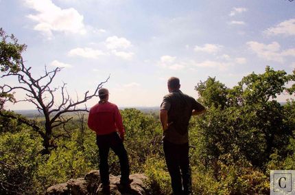 Land in Young County, Texas