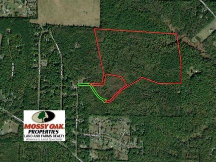 Timberland Property in Orange County, North Carolina