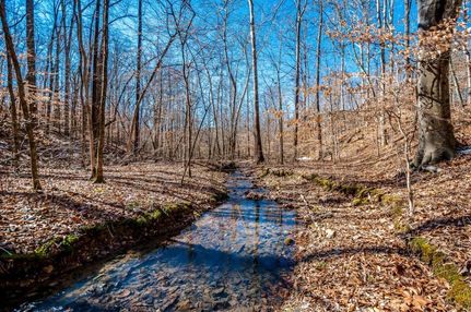 Undeveloped Land in Williamson County, Tennessee