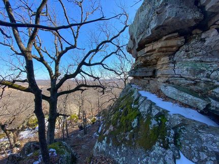 Timberland Property in McIntosh County, Oklahoma