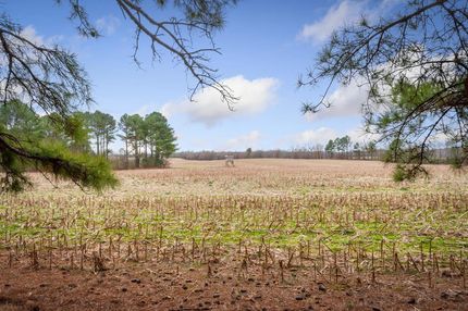 Farm and Ranch in Lawrence County, Tennessee