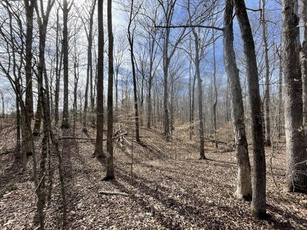 Timberland Property in Hickman County, Tennessee