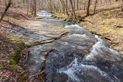 Land in Lewis County, Tennessee