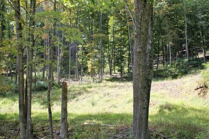 Undeveloped Land in Highland County, Virginia