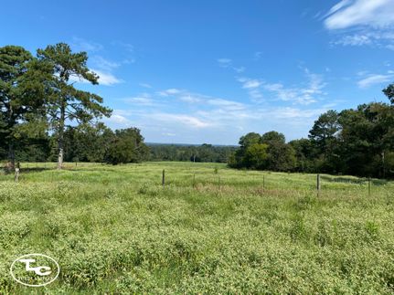 Undeveloped Land in Blount County, Alabama
