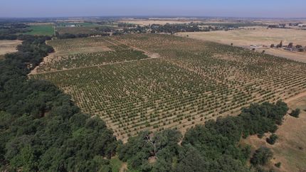 Farm and Ranch in Butte County, California