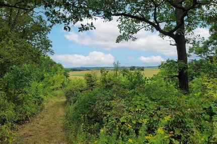 Timberland Property in Vernon County, Wisconsin