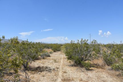 Undeveloped Land in Kern County, California