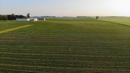 Farm and Ranch in Olmsted County, Minnesota