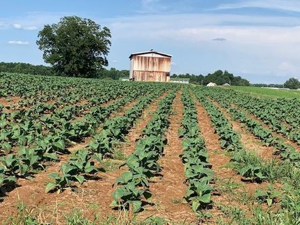 Farm and Ranch in Christian County, Kentucky