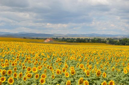 Land in Custer County, South Dakota