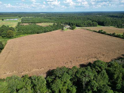 Farm and Ranch in Duplin County, North Carolina