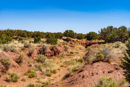 Undeveloped Land in Apache County, Arizona