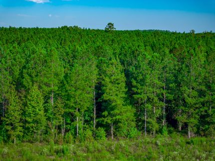 Land in Edgefield County, South Carolina