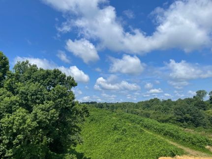 Recreational Property in Tuscaloosa County, Alabama