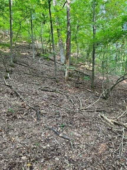 Undeveloped Land in Gordon County, Georgia