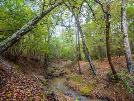 Land in Anderson County, Texas