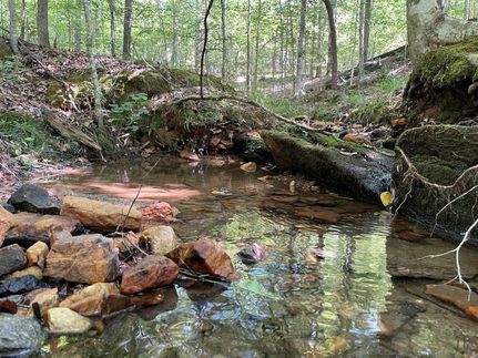 Undeveloped Land in Tallapoosa County, Alabama