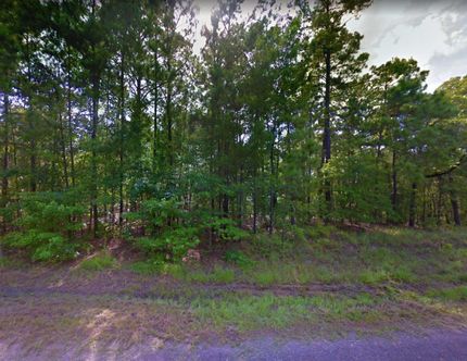 Undeveloped Land in Jack County, Texas