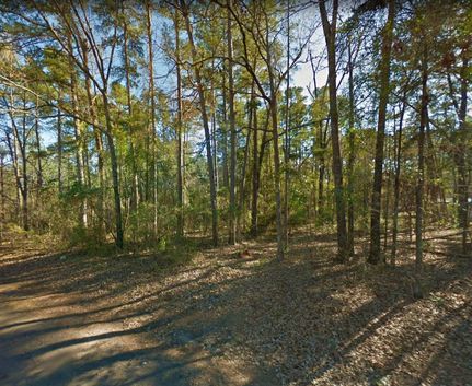 Undeveloped Land in Upshur County, Texas