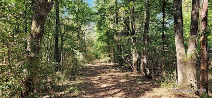 Commercial Property in Shelby County, Texas