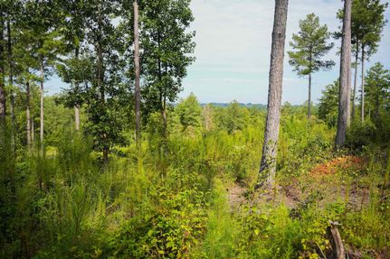 Recreational Property in Burke County, North Carolina