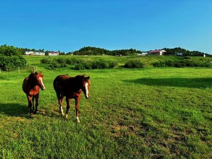 Horse Property in Crook County, Wyoming