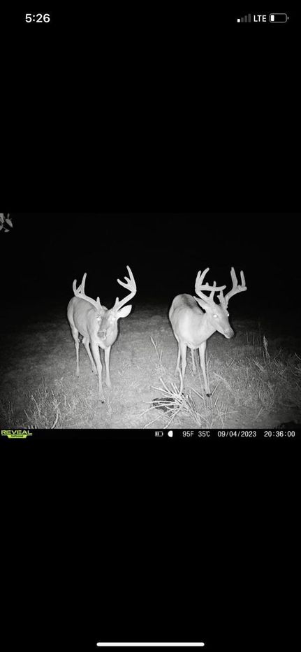 Land in Hardeman County, Tennessee