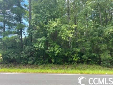 Undeveloped Land in Horry County, South Carolina