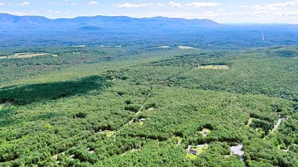 Undeveloped Land in Greene County, New York