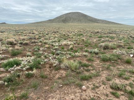 Undeveloped Land for sale in Costilla County, Colorado