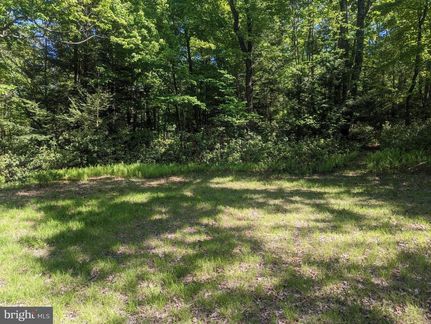 Undeveloped Land in Clinton County, Pennsylvania