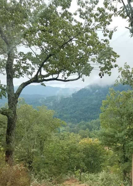 Undeveloped Land in Scott County, Tennessee