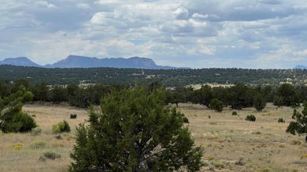 Land in Catron County, New Mexico