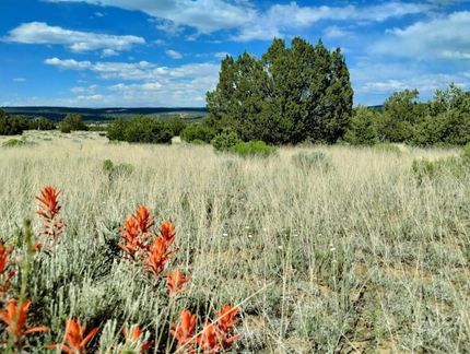 Land in Cibola County, New Mexico