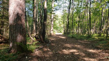 Farm and Ranch in Vilas County, Wisconsin