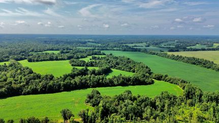 Farm and Ranch in Fayette County, Tennessee