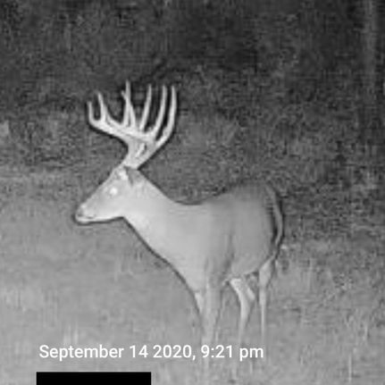 Recreational Property in Lonoke County, Arkansas