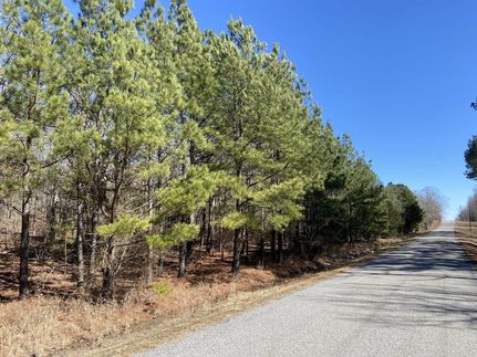 Undeveloped Land in White County, Arkansas