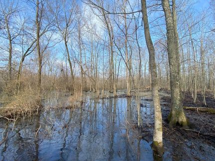 Undeveloped Land in Woodruff County, Arkansas