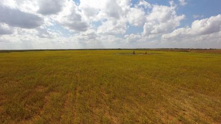 Farm and Ranch in Cochran County, Texas