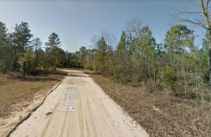 Undeveloped Land in Putnam County, Florida