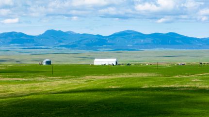 Timberland Property in Phillips County, Montana