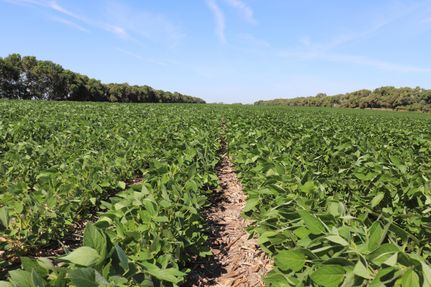 Land in Ward County, North Dakota