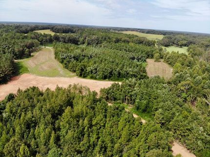 Timberland Property in Benton County, Mississippi