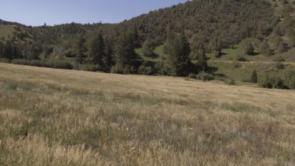 Undeveloped Land in Bannock County, Idaho