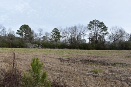Timberland Property in Pike County, Arkansas